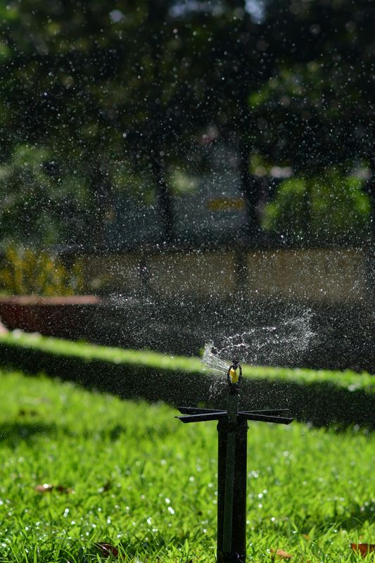 Irrigation