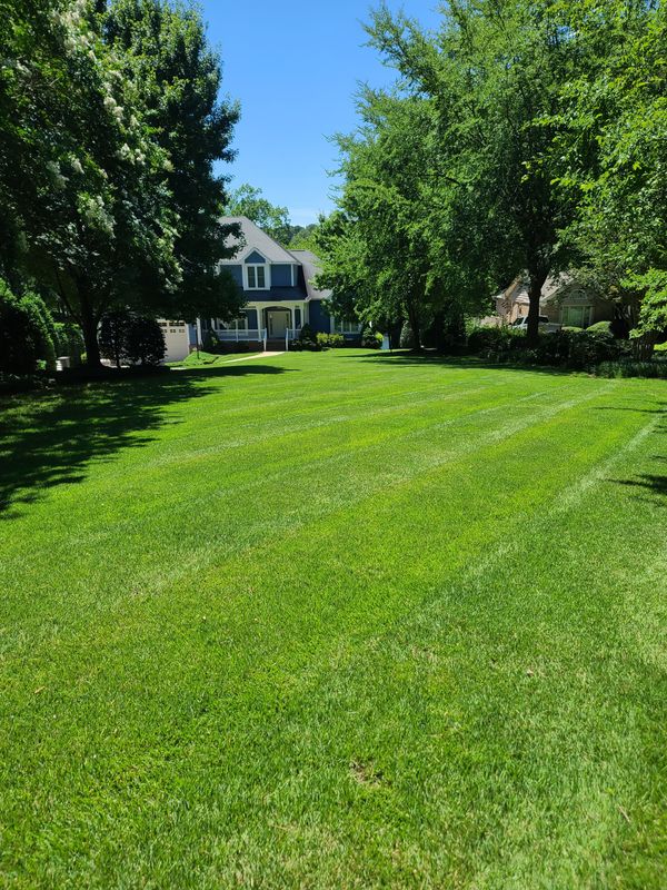 Lawn Maintenance