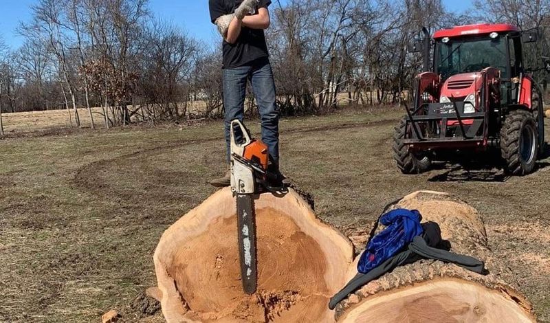 Logging