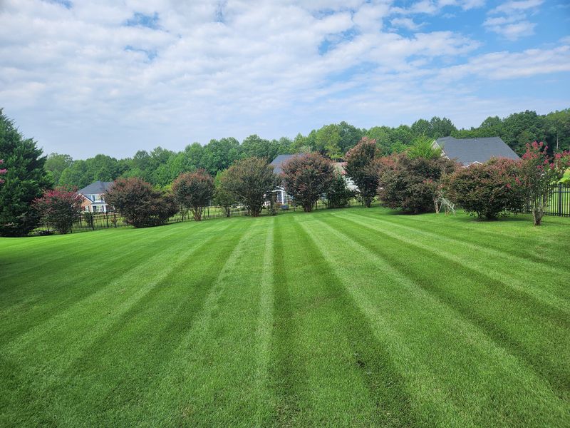 Lawn Care