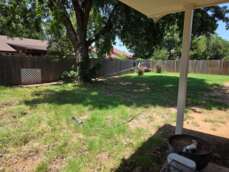 Storm Debris Removal