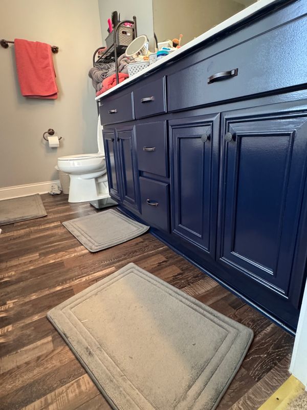 Interior Repairs