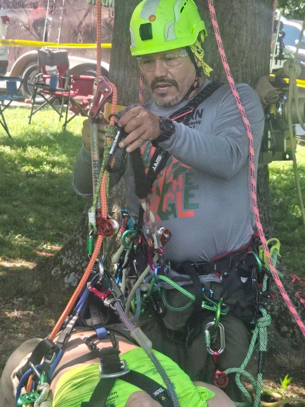 Tree Trimming