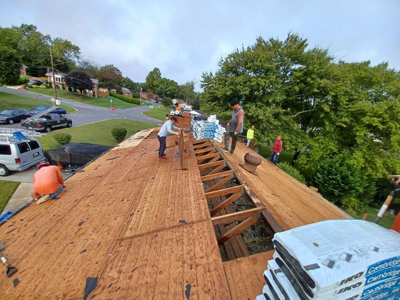 Shingle Roof Replacement