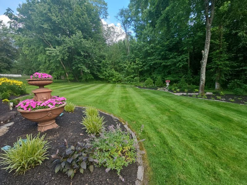Lawn Maintenance