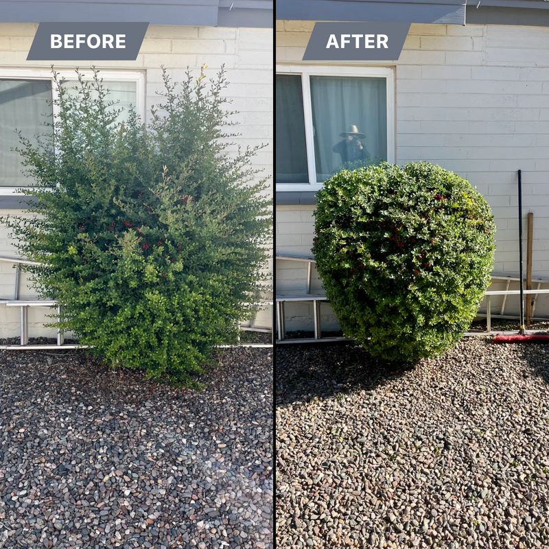 Topiary & Lawn Care