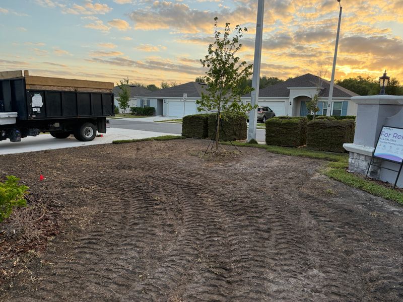 Sod Installation