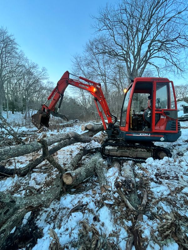 Brush & Tree Removal