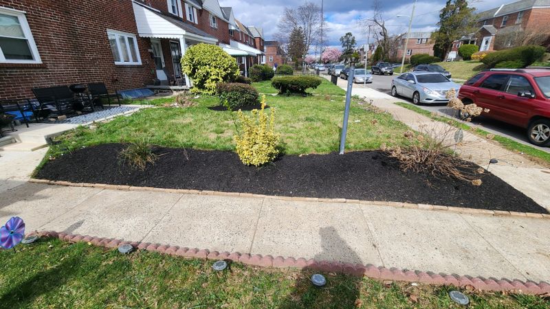 Lawn Care