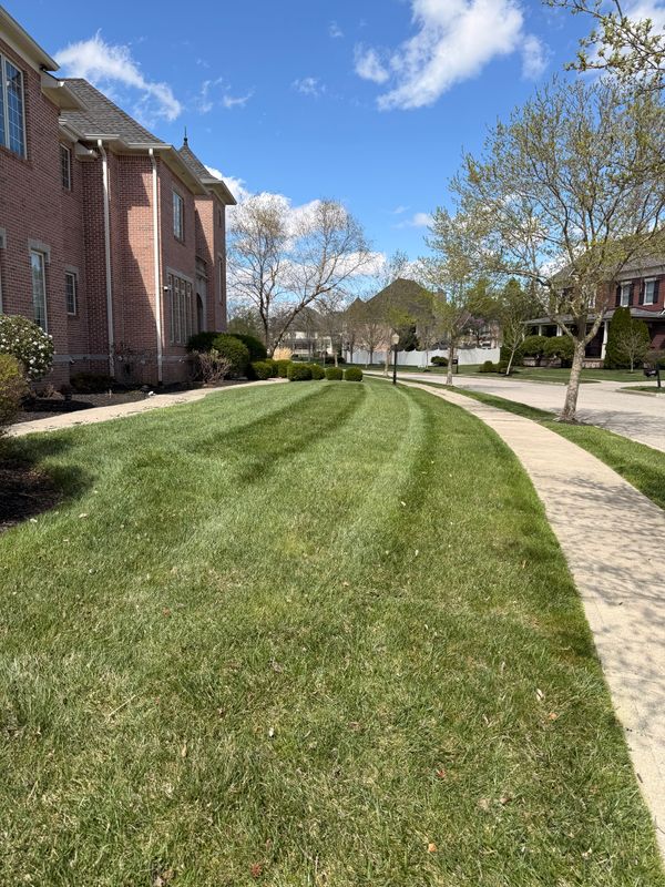 Lawn Care and Maintenance