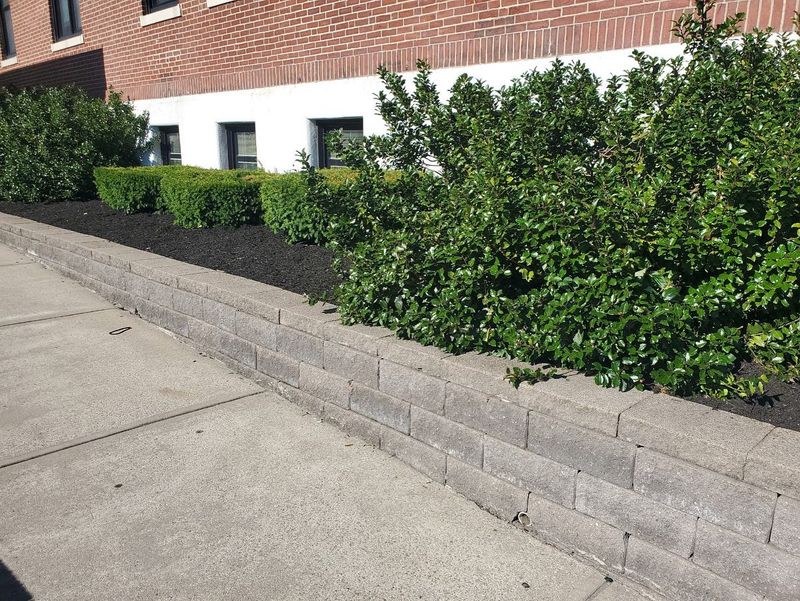 Mulch Installation