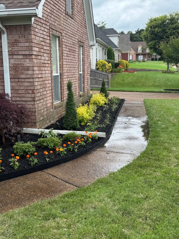 Garden Maintenance