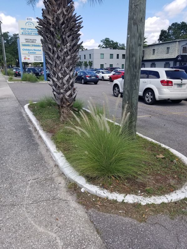Landscaping