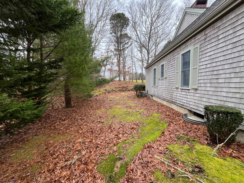 Fall CleanUp