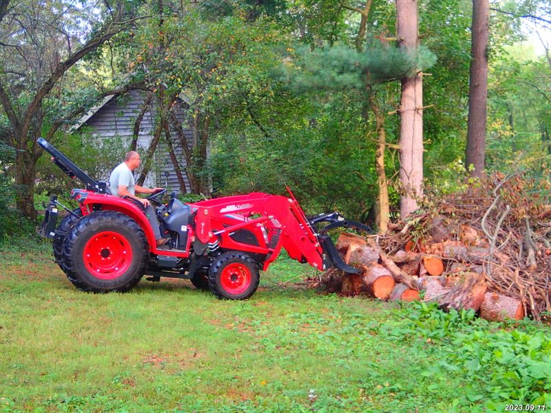 Downed Tree and Brush Cleanup gallery