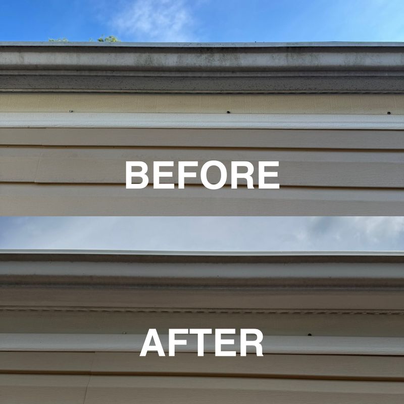 Pressure Washing 