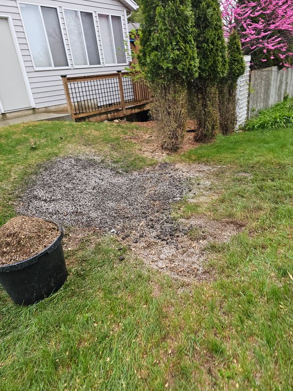 Stump Removal