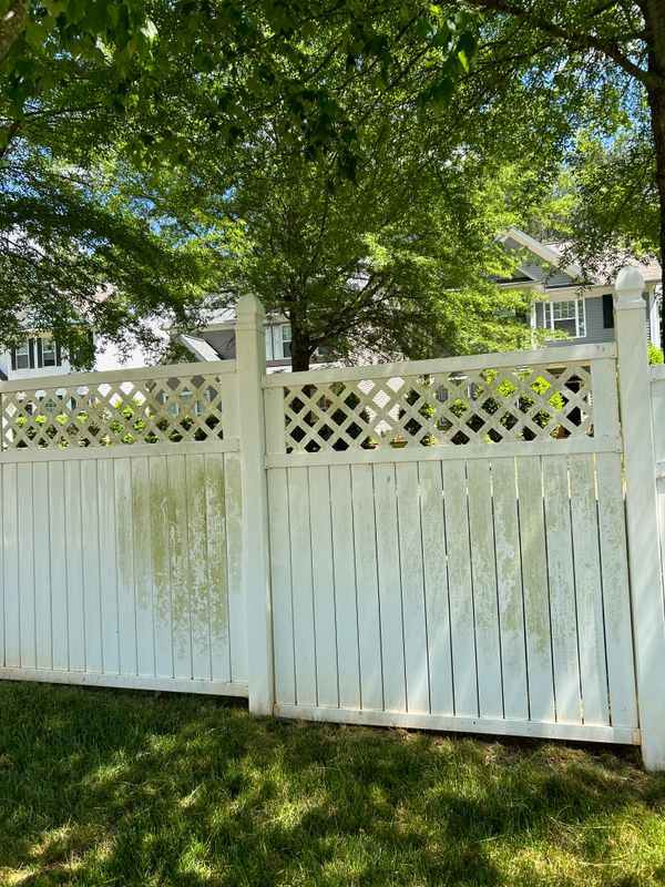 Deck and Patio Cleaning