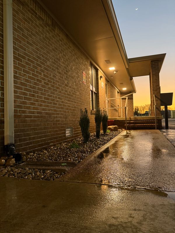 Plant & Shrub Installations