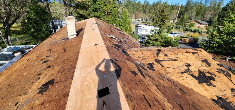 Shingle Roofing