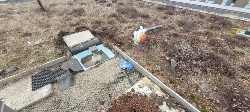 Revitalizing Toronto Rooftops: Triumph Inc's Green Roof Restoration Success