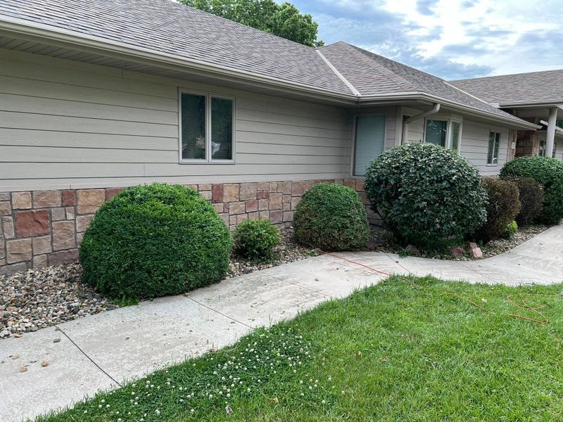 Shrub Trimming