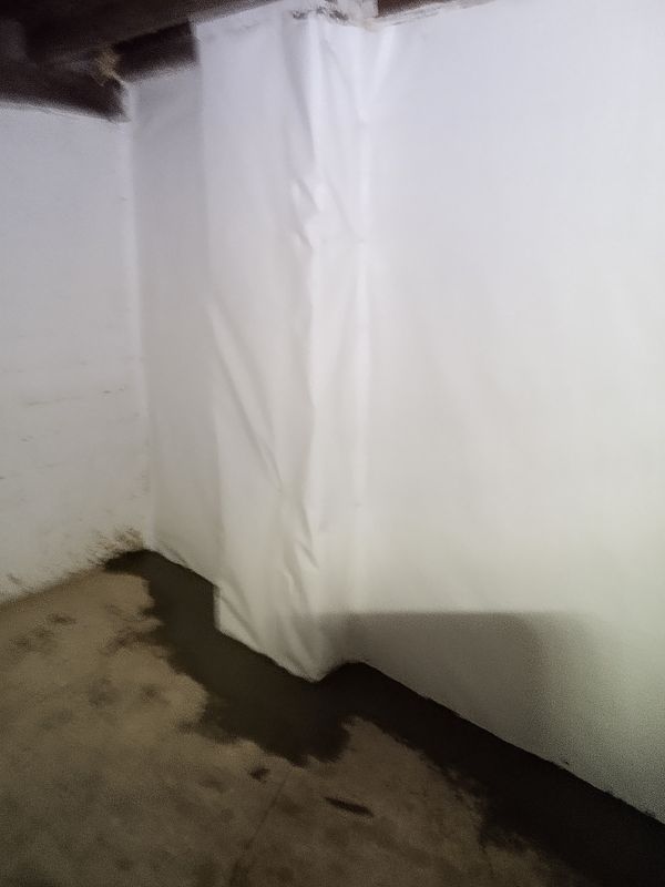 Mold Remediation