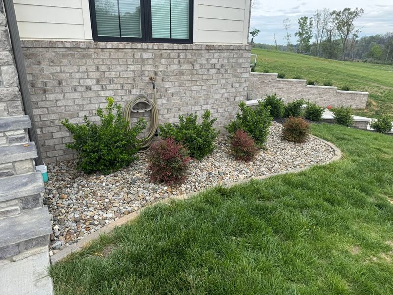 Garden Designs