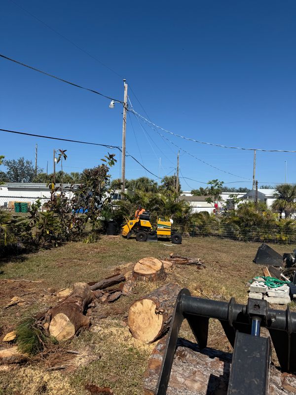 Stump Grinding