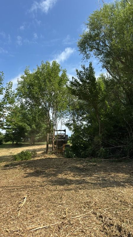 Forestry Mulching