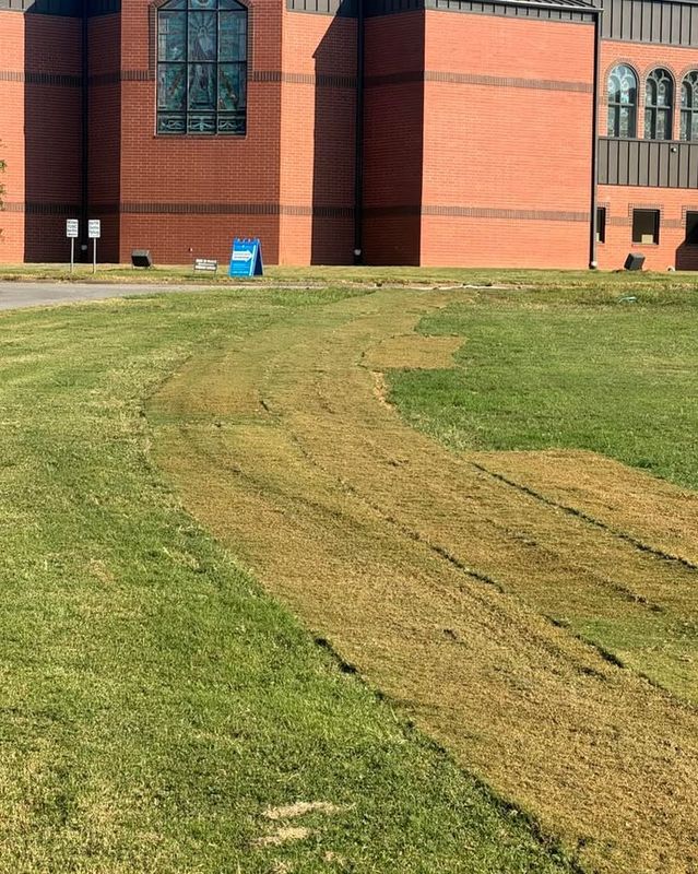 Lawn Care and Maintenance