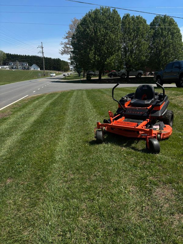Lawn Maintenance