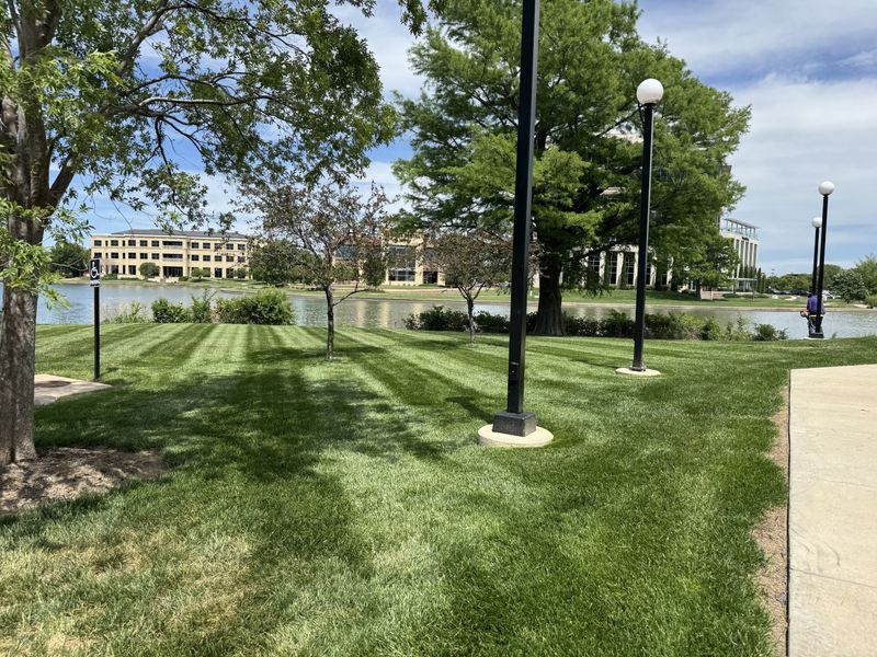 HOA Landscape Management
