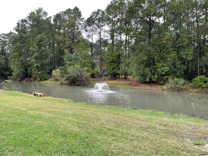 Waterway Clearing gallery
