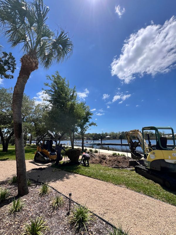Landscape Design and Installation