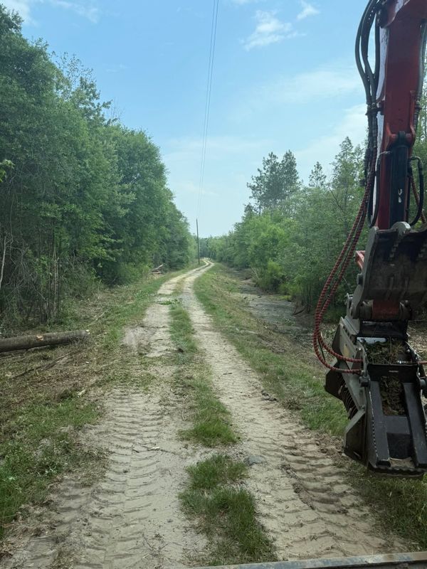 Land Clearing