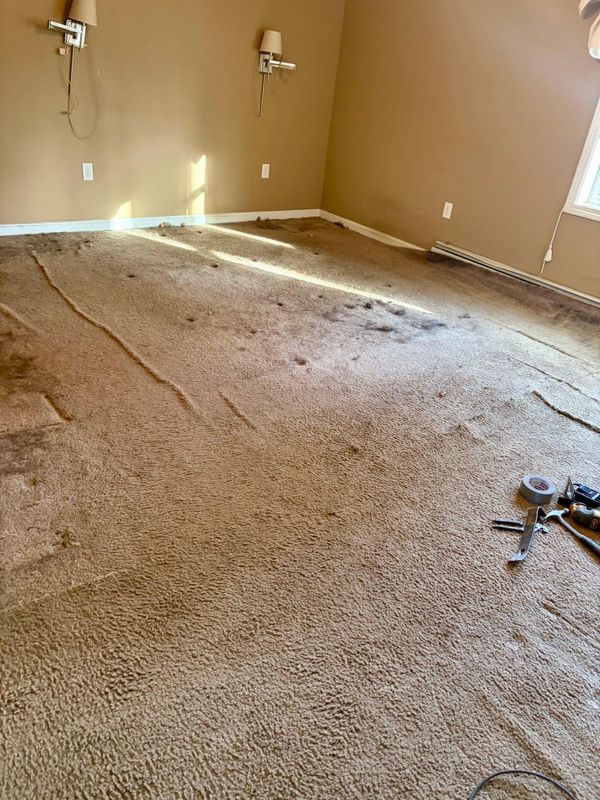 Transformative Flooring Upgrade: From Worn Carpet to Stylish Elegance