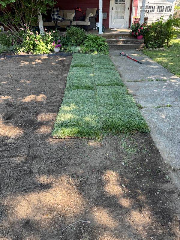 Sodding
