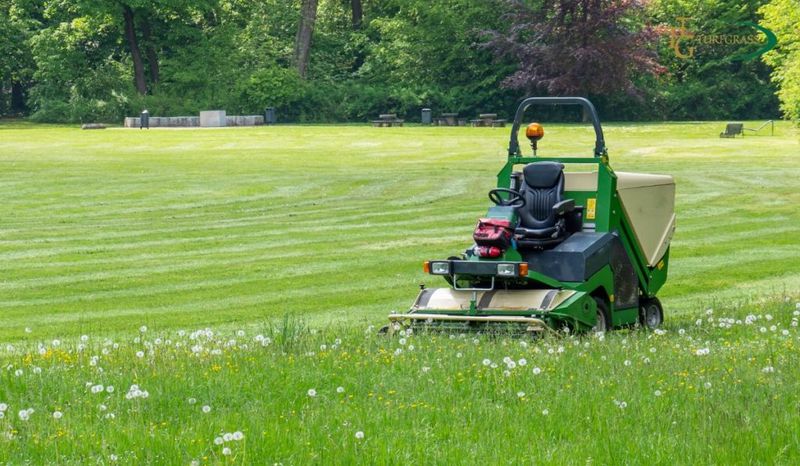 Lawn Maintenance