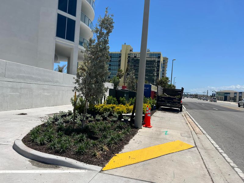 Landscape Design & Installation