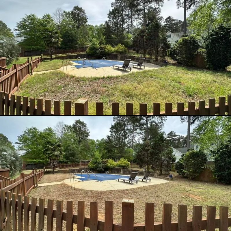 Lawn Maintenance