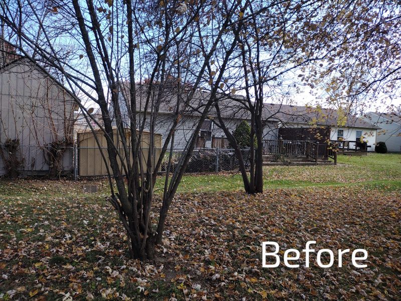 Fall and Spring Clean Up