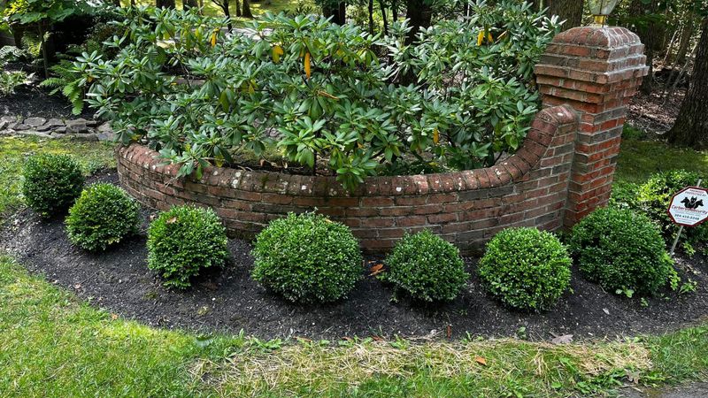 Hardscape Cleaning