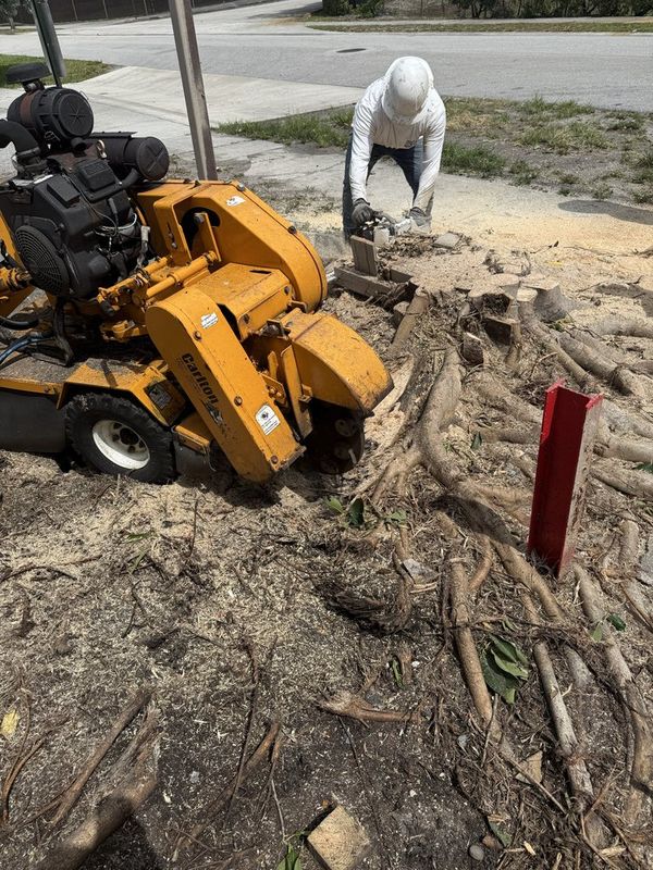 Stump Grinding
