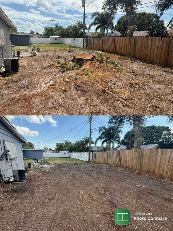 Stump Removal
