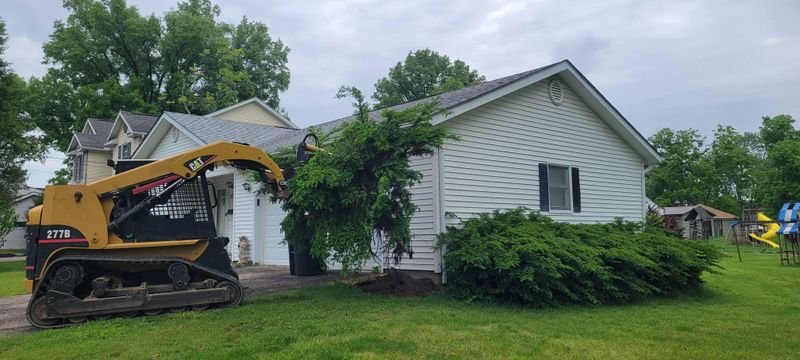 Downed Tree/Brush Removal