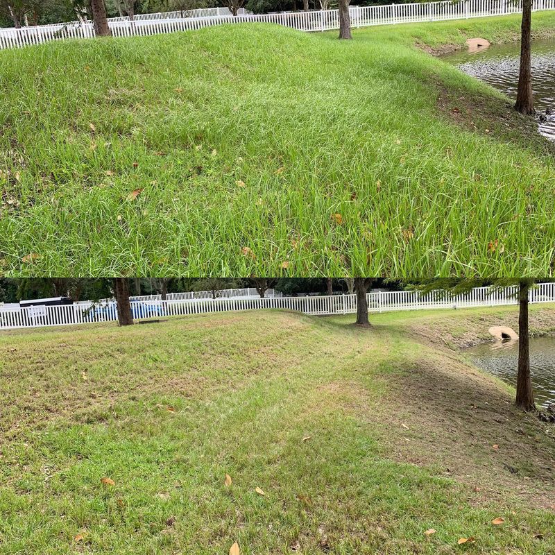 Landscape Maintenance & Mowing Services