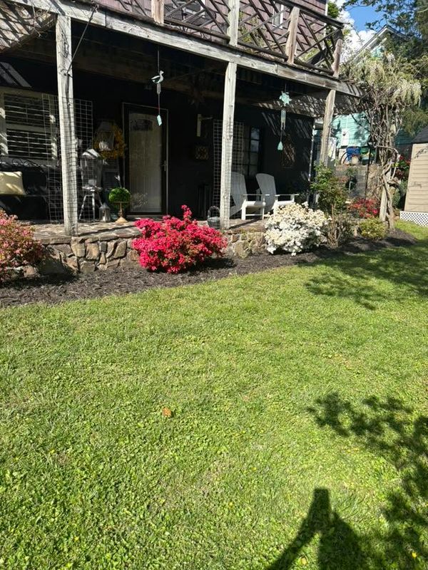 Lawn Maintenance
