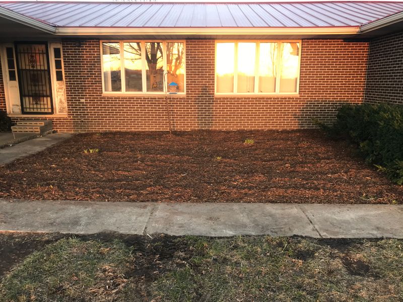 Mulch Installation