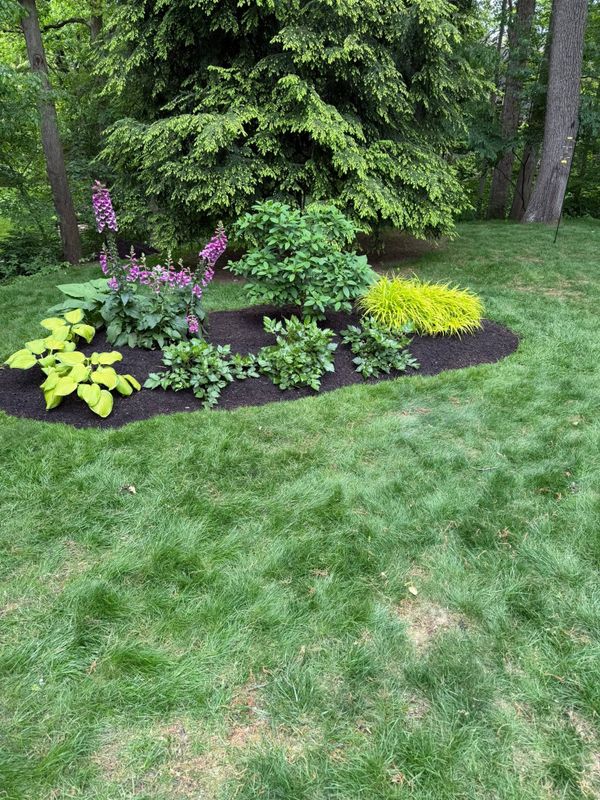 Garden Designs